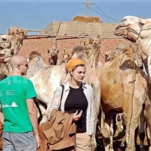 CAMEL MARKET DAY TOUR IN CAIRO