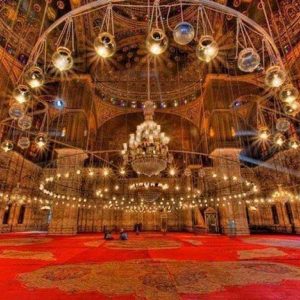 CAIRO STOPOVER TOUR TO GIZA PYRAMIDS EGYPTIAN MUSEUM CITADEL & BAZAAR