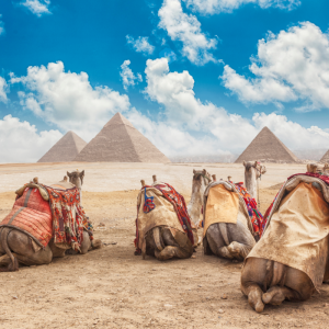GIZA PYRAMIDS MEMPHIS CITY AND SAKKARA PYRAMID DAY TOUR