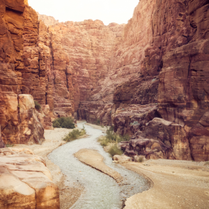 TOUR TO WHALES VALLEY AND WADI EL RAYAN WATERFALLS IN EL FAYOUM FROM CAIRO